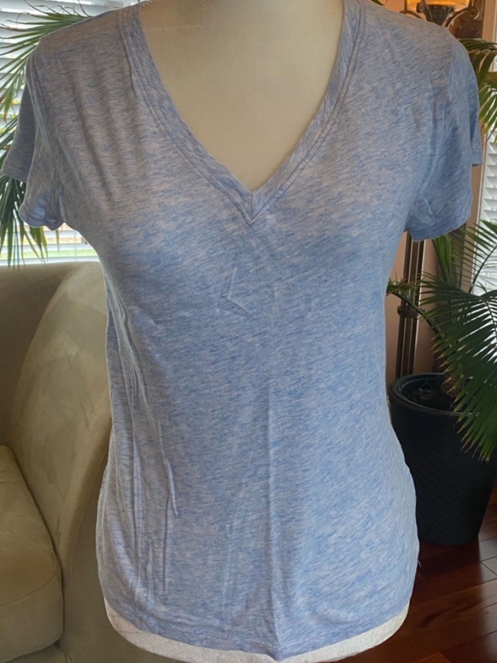 Splendid Tshirt